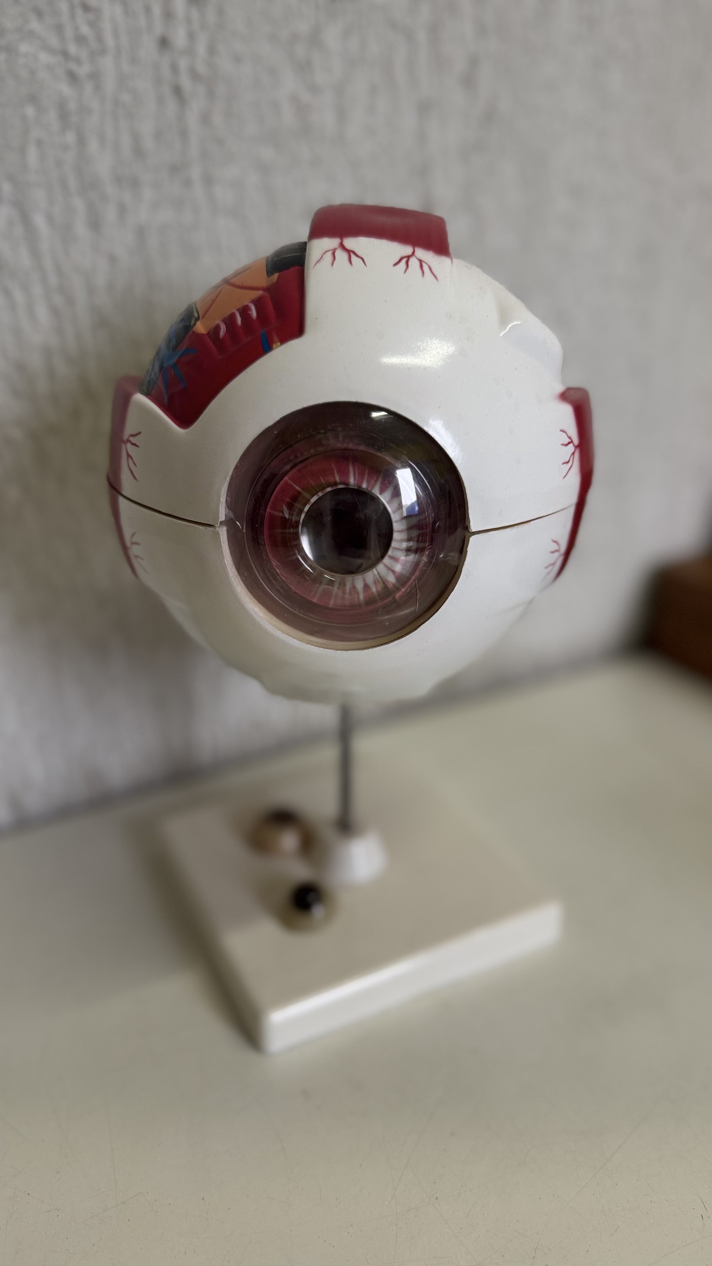 Exame de Vista Completo